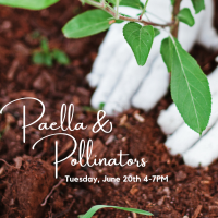 Paella and Pollinators
