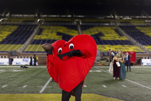 Ann Arbor Heart Ball 