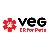 VEG ER for Pets Opens First Michigan Location, Revolutionary Emergency Care in Ann Arbor