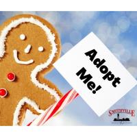 Adopt A Gingerbread Man at the Gingerbread Farm 2023