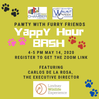 Thursday Virtual Yappy Hour - May BASH