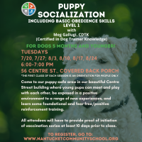 Puppy Socialization Including basic Obedience Skills Level 1 with Meg Gallugi, CDTK ( Certified Dog Trainer Knowledge)