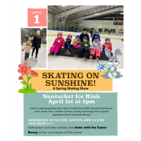 Skating on Sunshine! A Spring Skating Show
