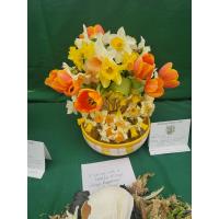 48th Annual Nantucket Garden Club Community Daffodil Flower Show