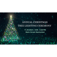 Annual Christmas Tree Lighting Ceremony