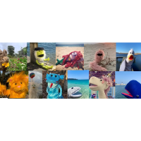 Nanpuppets at Something Natural!