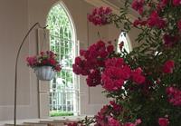 First Congregational Church Rose Sunday Worship Service