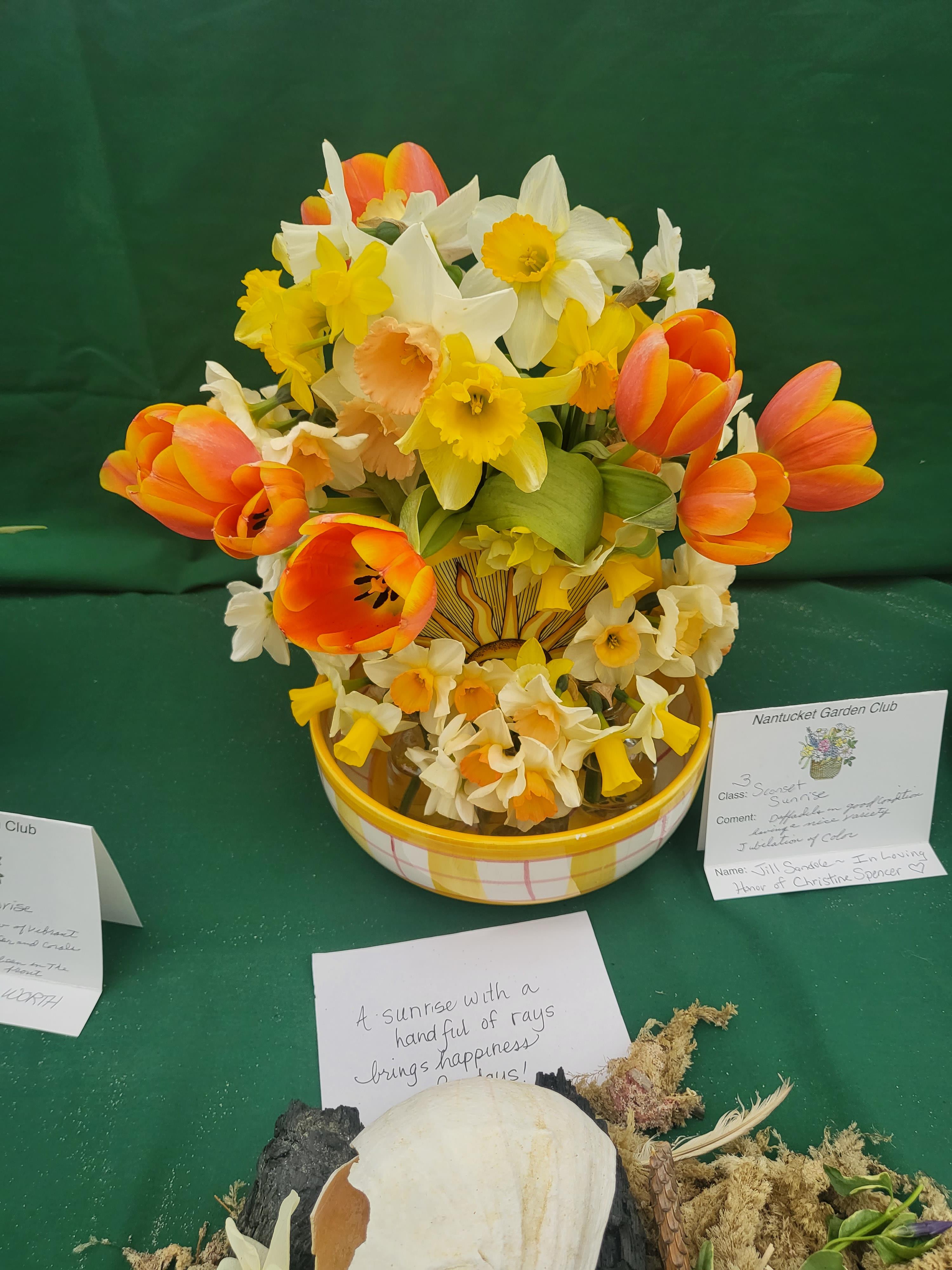 49th Annual Nantucket Garden Club Community Daffodil Flower Show