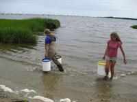 Marine Ecology Field Trip