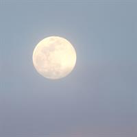 Full Moon Nature Walk - Corn Moon