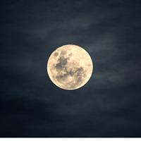 Full Moon Nature Walk - Harvest Moon