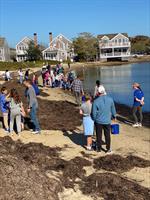 MMA Aquarium Release Day