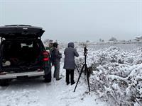 POP UP: Nantucket Bird Walk