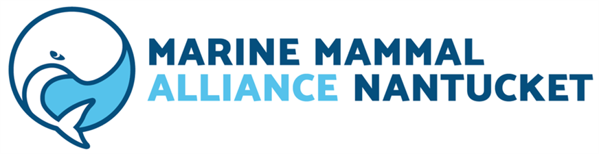 Marine Mammal Alliance Nantucket