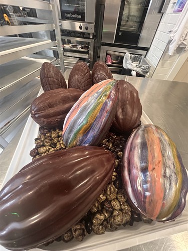 CHOCOLATE CACAO PODS