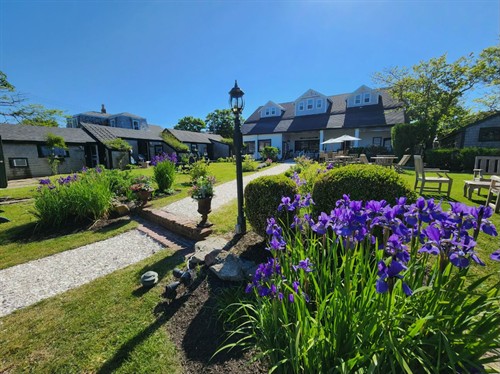 Gallery Image SH2.jpg