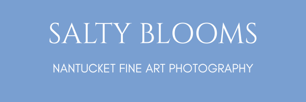 Salty Blooms Studio