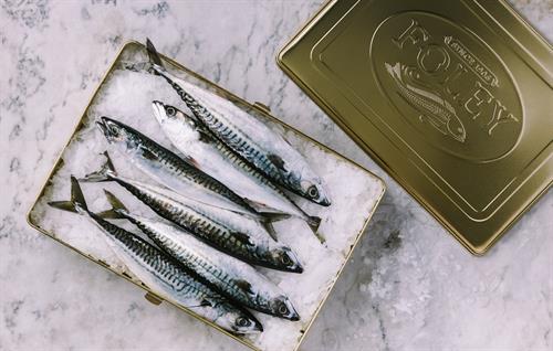 Gallery Image 00032.jpg