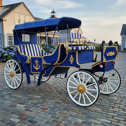 Our Electric Royal Mainer Coach