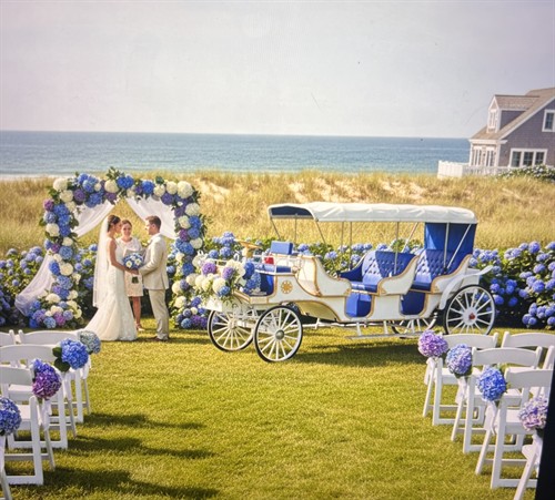 Our Electric Royal Family Coach