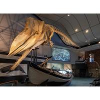 The Nantucket Historical Association will reopen the Whaling Museum on February 15
