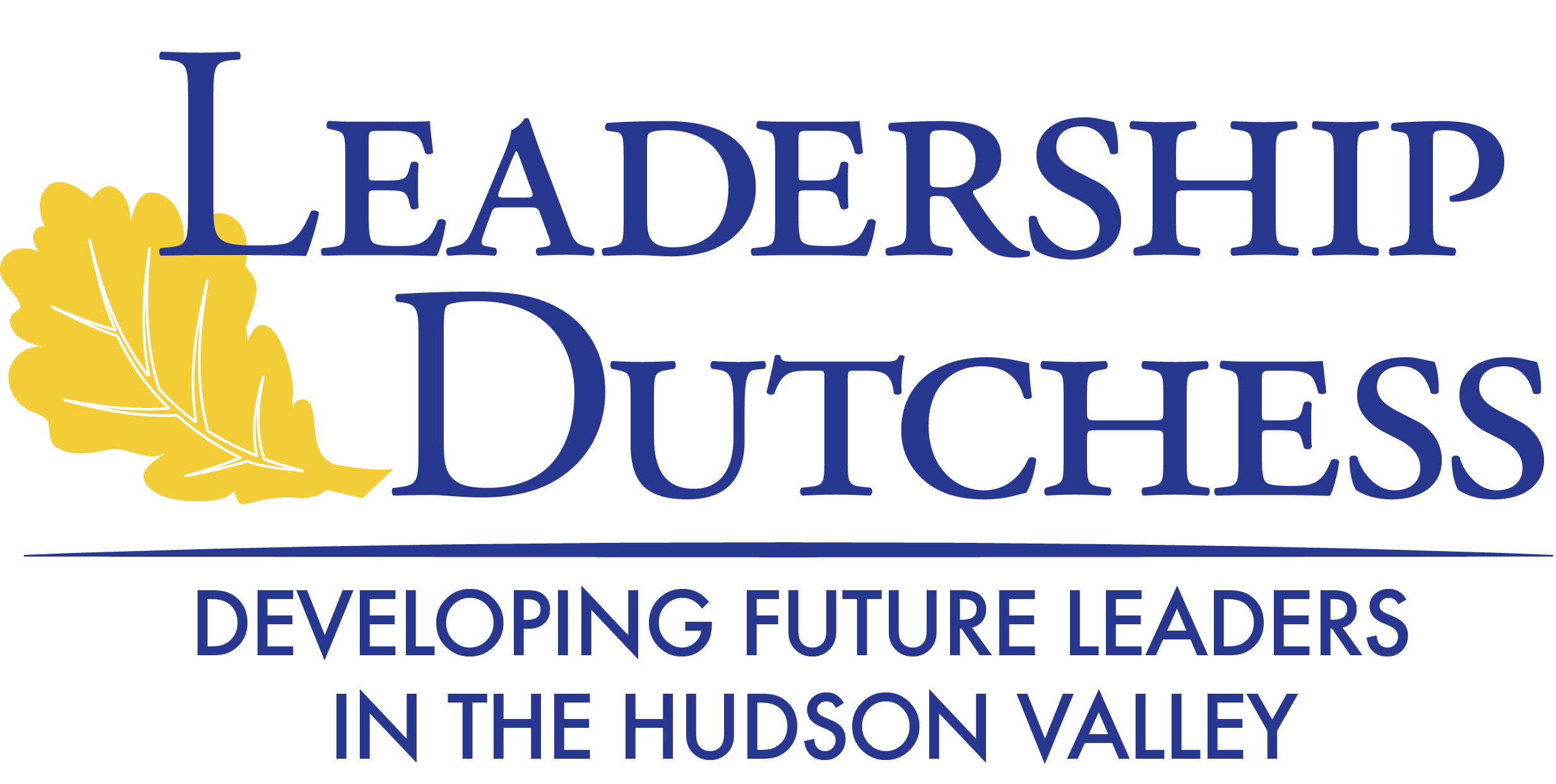 Announcing The Leadership Dutchess Class Of 2024 Blog Page Layout   LD Logo2014 