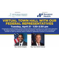 Virtual Town Hall With Our Federal Representatives Delgado and Maloney