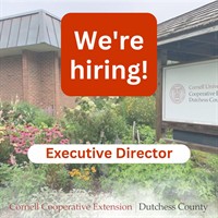 Executive Director