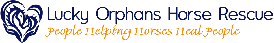Lucky Orphans Horse Rescue, Inc.