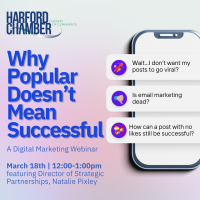 Why Popular Doesn't Mean Successful: A Digital Marketing Webinar