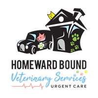 News Release: Veterinary Urgent Care IS OPEN!