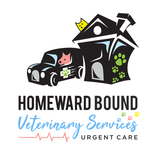 Gallery Image Urgent_Care.png