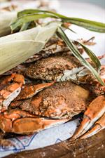 Conrad's Crabs & Seafood Market-Bel Air