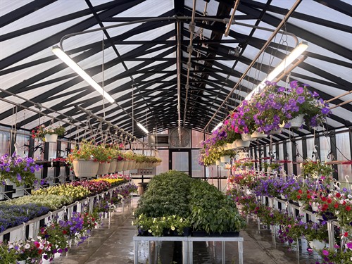 Greenhouse