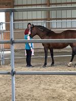 Equine Experience Workshop for Anyone on a Cancer Journey