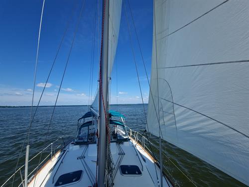 A Casual Day Sail on S/V Alliance