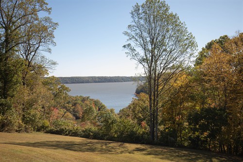 Gallery Image 0C3A9030.jpg