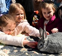 More than 600 Participate in Harford County Public Library’s Inclusive Egg Hunt