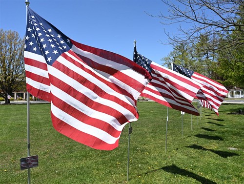 Flags of Honor in Festival Park 