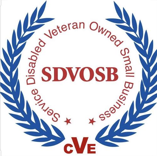 Small Disabled Veteran Owned Business 