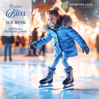 Winter Bliss Ice Rink