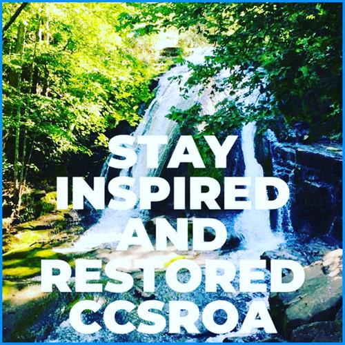 "Restoring Order When Disaster Strikes."  Inspire Others While Restoring Order. Consolidated Construction Services 540.725.3900