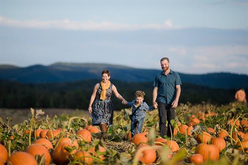 Sinkland Farms Annual Pumpkin Festival