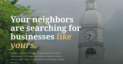 BizPinPro