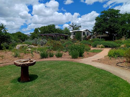 Native Plant Garden