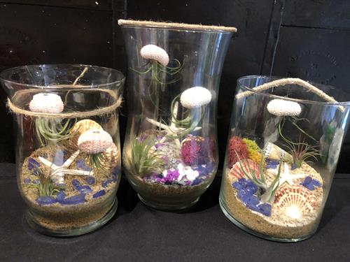 Under the sea with airplants