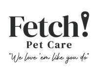 FETCH! PET CARE DALLAS TO MCKINNEY