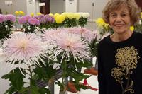 Growing Exhibition Mums, the Queen of the Fall Flowers, a presentation by Rita Rover