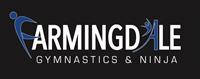 Farmingdale Gymnastics & Ninja Academy