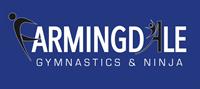 Farmingdale Gymnastics & Ninja Academy